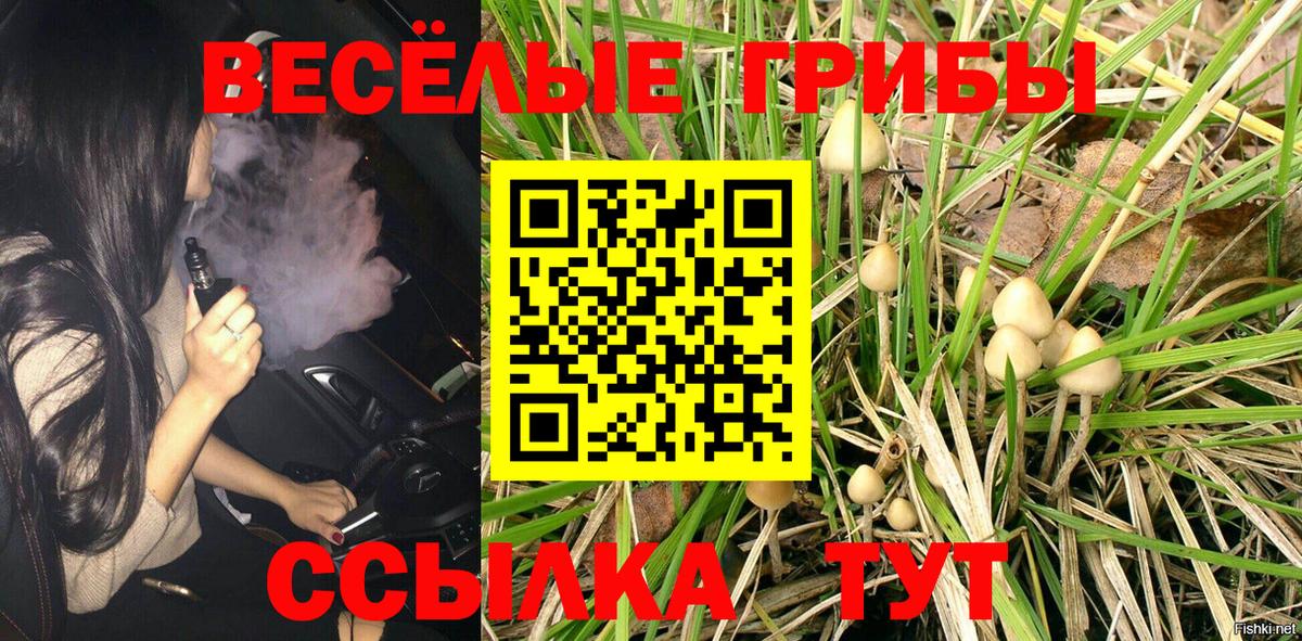 Большой Камень  Галлюциногенные грибы прущие грибы  Вход с VPN 