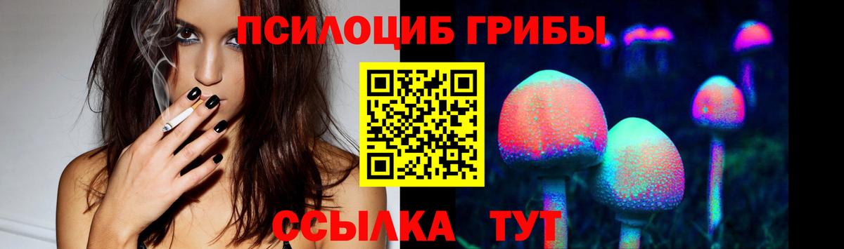 Галлюциногенные грибы прущие грибы Большой Камень